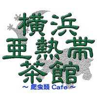 横浜亜熱帯茶館 〜爬虫類 Cafe〜(@reptilescafe) 's Twitter Profile Photo