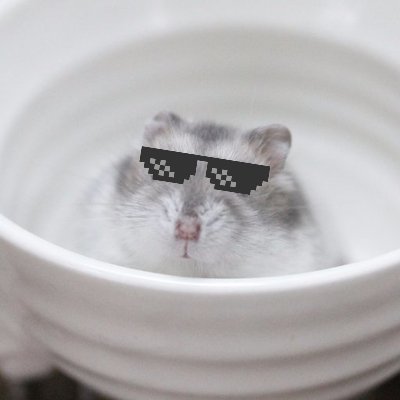 sugar_reed's profile picture. いちご砂糖のヒミツ
市内新規就農者第1号らしい
独立2年目 いちご歴7年目の27歳 やよいひめ推し
2000万円超の借金があるらしい
非農家新規 🍓7a
