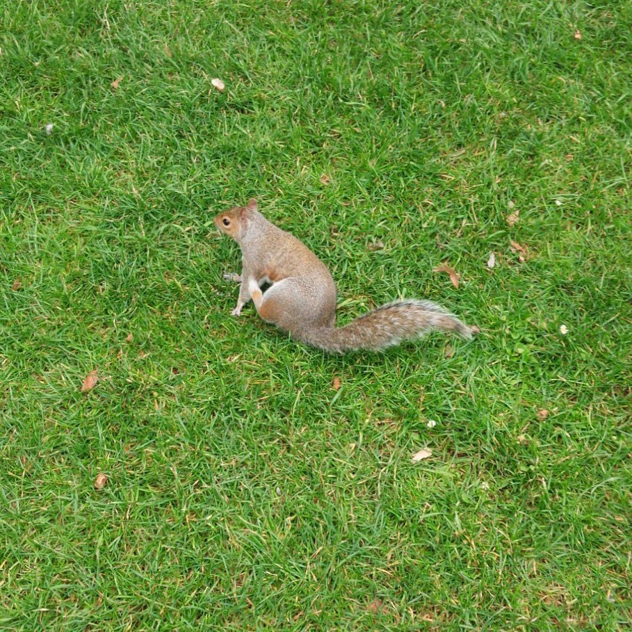 120bop's profile picture. 投資家兼事業家 稼げないのは悪だ 日々の日常をさらけ出します。       投資で負けてる方は是非お声掛け下さい。 打開策があるかもしれません。 無料コンサル実施