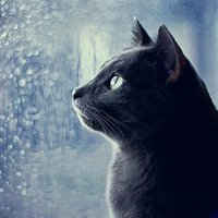 ニー仏 (@neetbuddhist) 's Twitter Profile