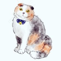 だらっクマ。 (@darakkuma214) 's Twitter Profile Photo