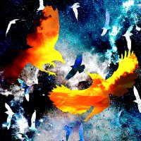 ɐʞɐʇ!ɐɥ (@haitaka13) 's Twitter Profile Photo