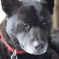 ぶんぶん⚡️ (@bunbun1701) Twitter profile photo