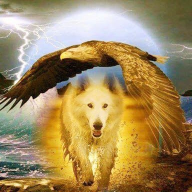 CHUCHITO30's profile picture. 