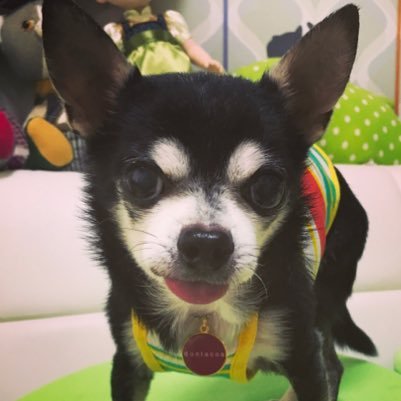ムィさんのプロフィール画像