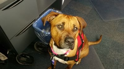 monkeybsnss2's profile picture. 