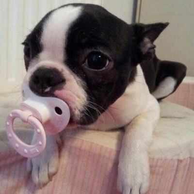 damegueboya's profile picture. Busco sexo con un activo tengo sitio en Chacao sin compromiso cojeme como quieras sin limitaciones si es entre varios mejor