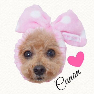 かのんママ クラフトカフェさんの桃 苺 のかき氷 見た目も可愛いし おいしかったぁ 中にも桃がいっぱいなの 4日間限定だそうなので 食べられて良かったです 超オススメ クラフトカフェ 浦和 かき氷 カキ氷 かき氷有名店 さいたま