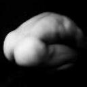 claudio conti - @conticla - Twitter