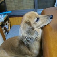 ゆき (@yukky_uw) 's Twitter Profile