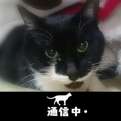 グレートクイズカーニバル デッキ構築力(撃破数)41体 同率1位獲得
黒猫のウィズの話メインです
色々動画作ってます
https://t.co/kFO902T7b6…
↑のリンクでチャンネル登録して頂けると嬉しいですヽ(=´▽`=)ノ
フォロー/リム お気軽にどうぞ