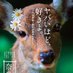 Yuya NAKANO (@nakanoswitch) Twitter profile photo Yuya NAKANO (@nakanoswitch) Twitter profile photo