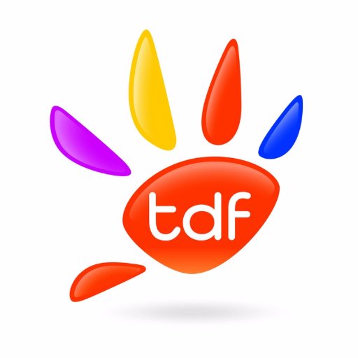 TDFgroupe Profile Picture