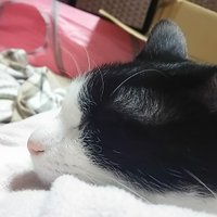 浅井一希 (@h1125879) 's Twitter Profile