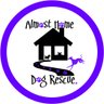 AlmostHome_Dog's profile picture. We aim to provide a safe haven for dogs that have been abandoned through no fault of their own, rehome them and educate the next generation of dog owners.