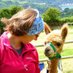 Julie Chilvers 💙 (@juchilv) Twitter profile photo Julie Chilvers 💙 (@juchilv) Twitter profile photo