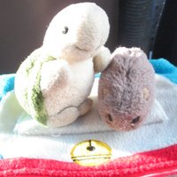 Kaffel (@orca2108) 's Twitter Profile