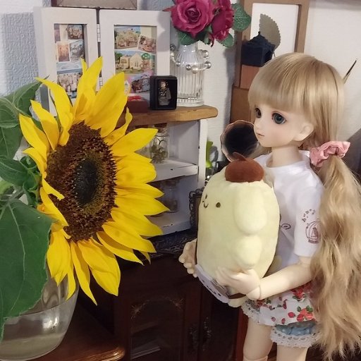 ぽんぽこさんのプロフィール画像