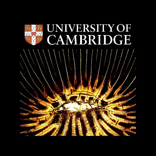 Addressing the world's most pressing challenges with science and technology. University of Cambridge, Department of Engineering.