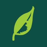 Leaflike (@leaflikedesign) 's Twitter Profile