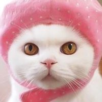 うらちゃん with なっちゃん (@urabanashi813) 's Twitter Profile Photo うらちゃん with なっちゃん (@urabanashi813) 's Twitter Profile Photo