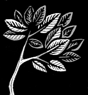 CyphWeb's profile picture. Mutating plants and animals expose two corporations in a race to control the world's food and water as five ordinary citizens are unwillingly called to action.