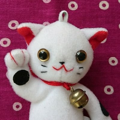 oonekokoneko's profile picture. おだやかにくらしたい。
遊佐未森さん、そうにゃんに関する呟きが多めです。