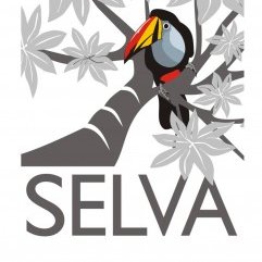 SELVA is a Colombian NGO dedicated to undertaking rigorous scientific research programs that facilitate the design of conservation actions in the Neotropics