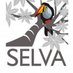 SELVA (@selvaorgco) Twitter profile photo SELVA (@selvaorgco) Twitter profile photo