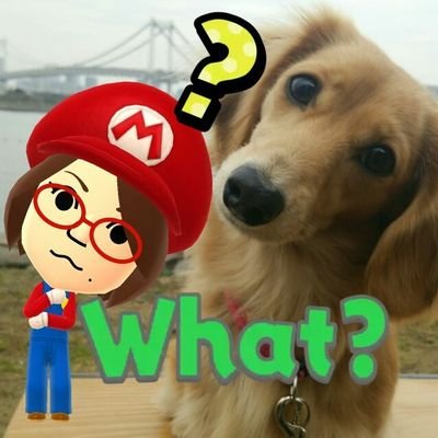 ゲーム、お菓子、 動物が大好き。
臆病者で極度のネガティブ&心配性😇
ここではなるべく明るく💡
●愛犬🐕【Mダックス:くるみ・多数アレルギー持ち】を溺愛しています😍