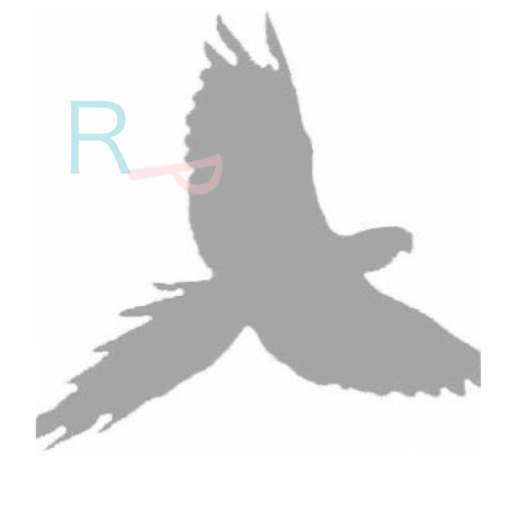 Rainbow parakeetさんのプロフィール画像