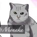 ねこ(ベルンの山岳犬) (@sangomaomomo) Twitter profile photo ねこ(ベルンの山岳犬) (@sangomaomomo) Twitter profile photo