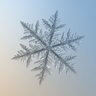 general_frost8's profile picture. xt250xに乗ってクイズをやるオタク 主催クイズサークル @DuraKing_quiz