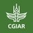 Account avatar for CGIAR