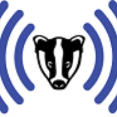 Badger_Fi Profile Picture