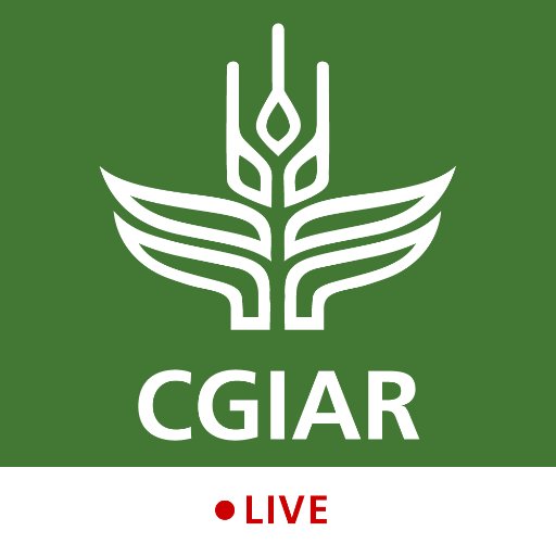 This account is no longer maintained and will be shut down. Please follow @CGIAR