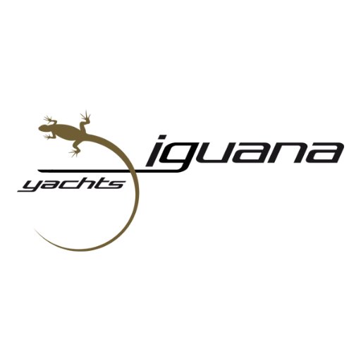 Luxurious #boats and #yachttenders hand built in France with the unique Iguana Mobility System