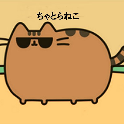 チャトラCats 🐾 Profile