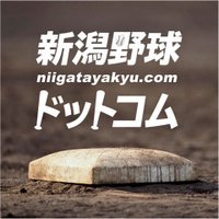 新潟野球ドットコム(@niigatayakyu) 's Twitter Profile Photo