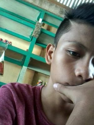 elwynbargas's profile picture. 13