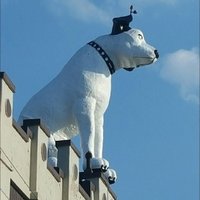 Albert Catalano (@alleycatii) 's Twitter Profile Photo