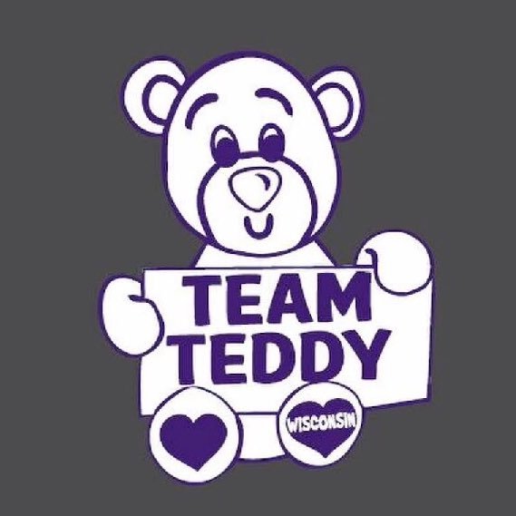 The goal of Team Teddy WI, a non-profit organization, is to provide plush animal building experiences for children suffering from a variety of illnesses.