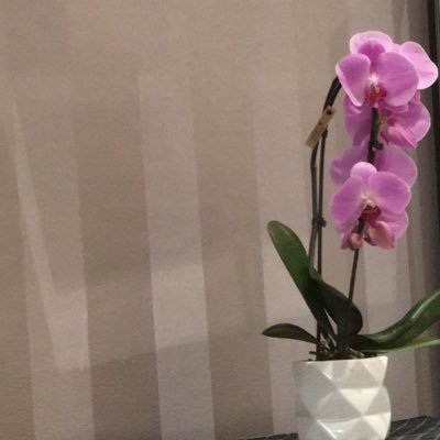 Fe6ami82's profile picture. 