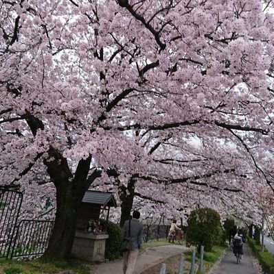あづみさんのプロフィール画像