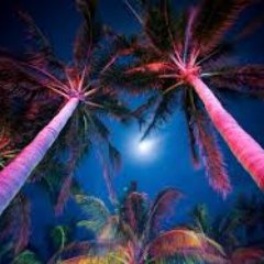 _CarliPalmer_'s profile picture. Author,java junkie,lover-all things 80s, suspense,action, but not on the same night, not serving drinks in the pit anymore...slice of lime goes with EVERYTHING!