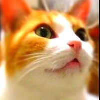 KAYi (@kayidesign) 's Twitter Profile Photo KAYi (@kayidesign) 's Twitter Profile Photo