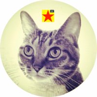 Nekodanna (@nekodanna) 's Twitter Profile