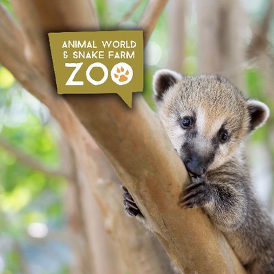Animal World & Snake Farm Zoo (@Awsfzoo) / Twitter Animal World & Snake Farm Zoo (@Awsfzoo) / Twitter