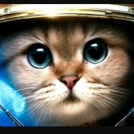 DingyParrot383's profile picture. Me gusta el chocolate