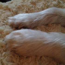 yerolnemesis's profile picture. 